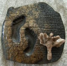 Relief 10