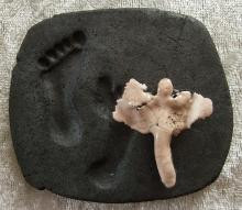 Relief 22